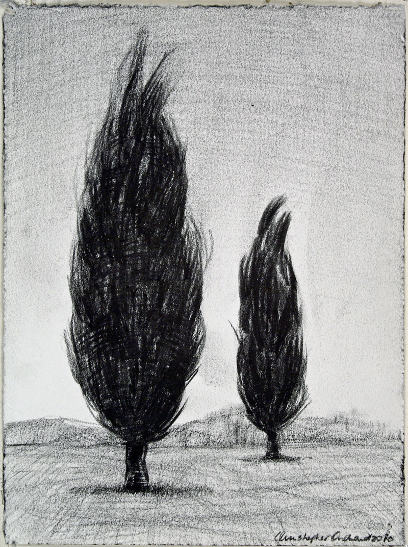 2011 Pair Charcoal on paper, 190x150cm